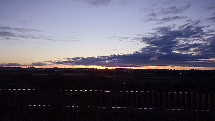 DSC_0631.jpg