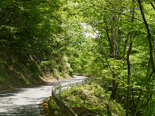P1020837.jpg